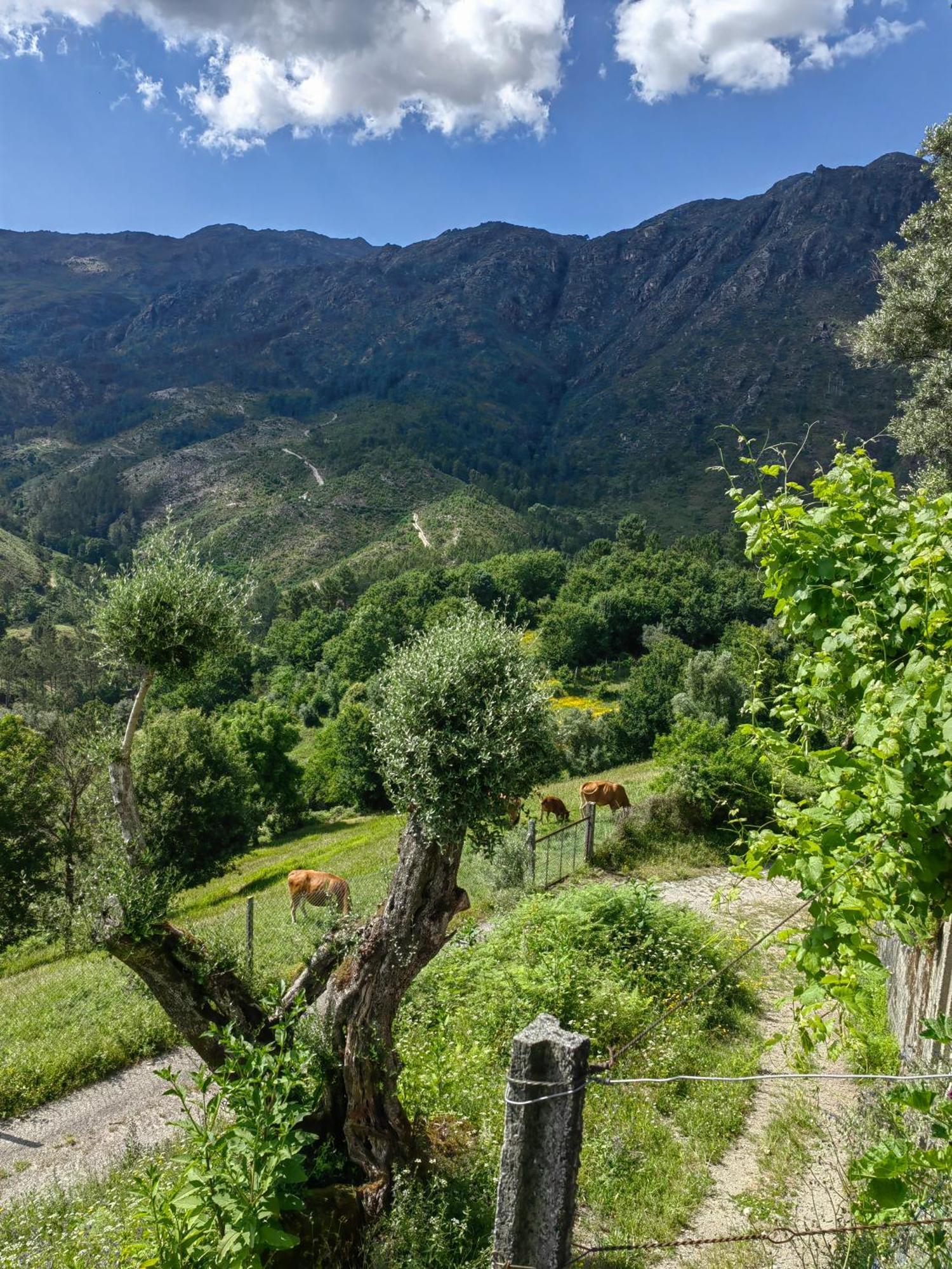 Vale Das 7Lagoas Gerês Exterior foto